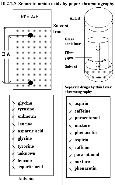 See diagram 10.2.2.5: Separate amino acids by paper chromatography.