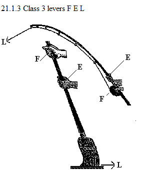 See diagram 21.1.3: Class 3 levers.