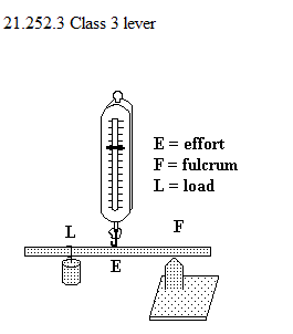 See diagram 21.252.3: Class 3 lever.