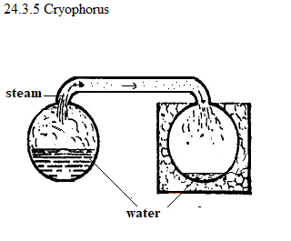 See diagram 24.3.5 Cryophorus