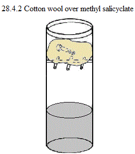 See diagram 28.4.2: Cotton wool over methyl salicylate.