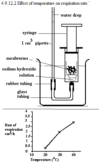 See diagram 4.9.12.2d: Effect of temperature