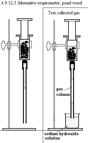 See diagram 4.9.12.3: Alternative respirometer, pond weed