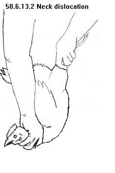 See diagram 50.6.13.2: Neck dislocation method