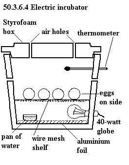 See diagram 50.6.3.4: Warm brooder, electric brooder