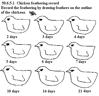 See diagram 50.6.7: Feathering record
