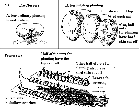 See diagram 53.11.1: Pre-nursery