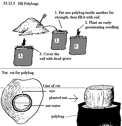 See diagram 53.12.3: Fill polybags