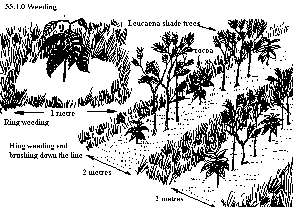 See diagram 55.1.0: Weeding
