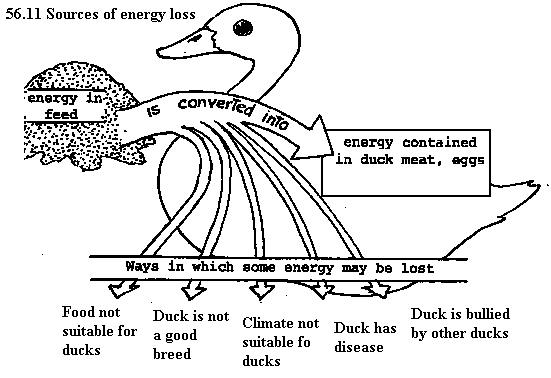 See diagram 56.11: Sources of energy loss