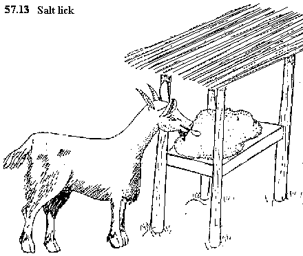 See diagram 57.13: Salt feed