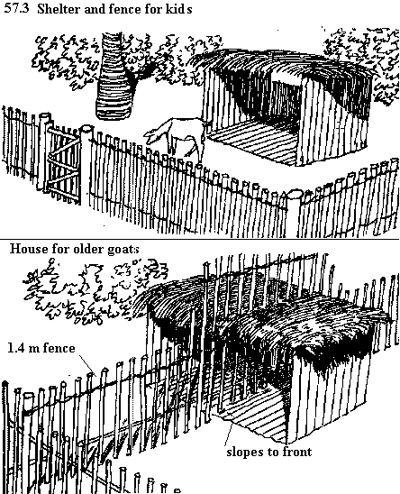 See diagram 57.3: Housing goats