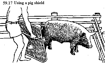 See diagram 59.17: Using a pig shield