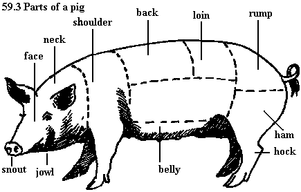 See diagram 59.3: Parts of a pig