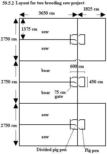 See diagram 59.8.2: Layout for two breeding sow project