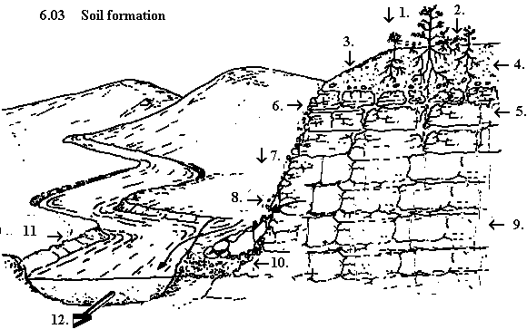 See diagram 6.03: Soil formation