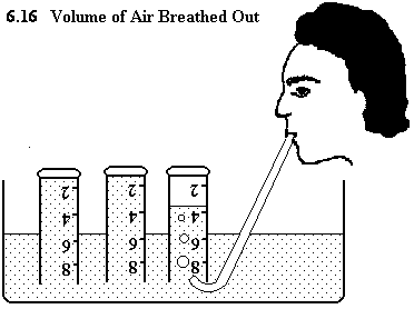 See diagram 6.16: Volume of air breathed out