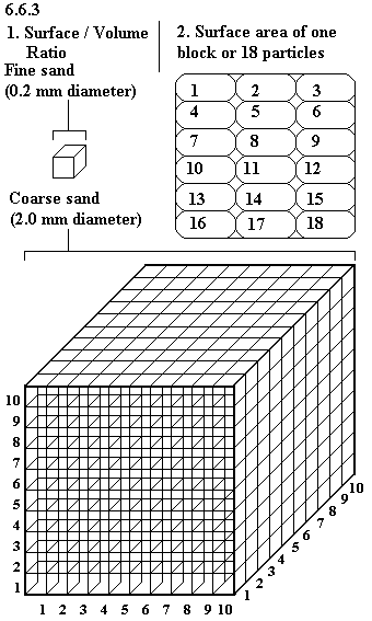 See diagram 6.6.3 Surface / volume ratio