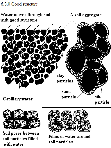 See diagram 6.8.0: Good structure, a soil aggregate, capillary water