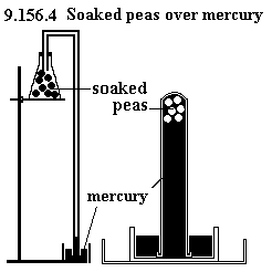 See diagram 9.156.4: Soaked peas over mercury