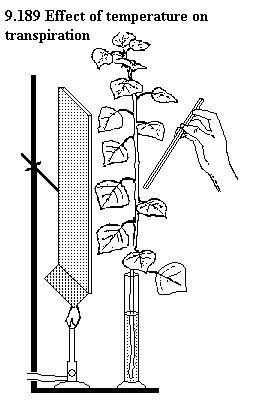 See diagram 9.189: Ttemperature and transpiration