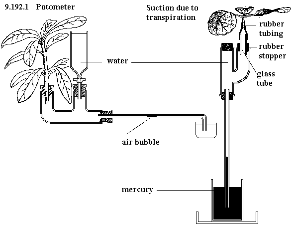 See diagram 9.192.1: Suction pressure