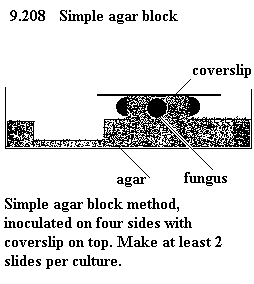 See diagram 9.208: Simple agar block