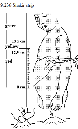 See diagram 9.236: Shakir strip