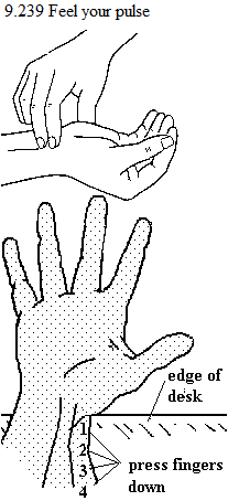 See diagram 9.239: Feel your pulse