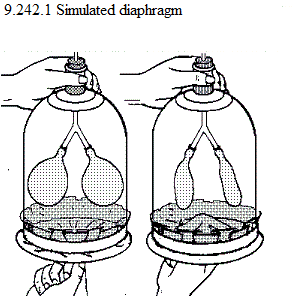 See diagram 9.242.1: Simulated diaphragm