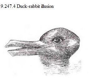 See diagram 9.247.4: Duck-rabbit.