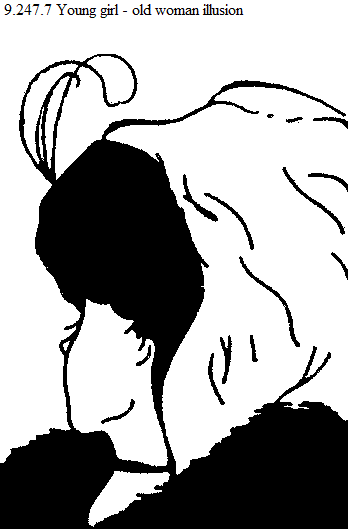 See diagram 9.247.7: Young girl-old woman.