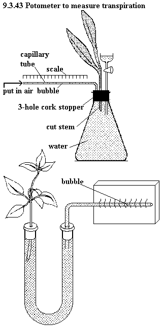 See diagram 9.3.43: Potometer measures transpiration