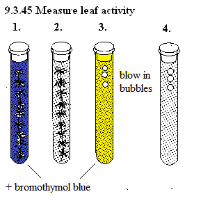 See diagram 9.3.45: Measure leaf activity