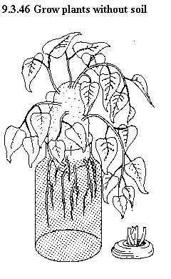 See diagram 9.3.46: Grow plants without soil