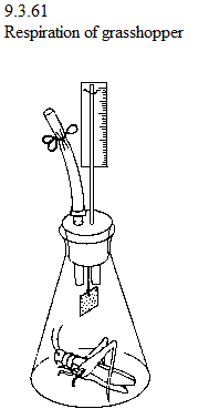 See diagram 9.3.61: Respiration of grasshopper