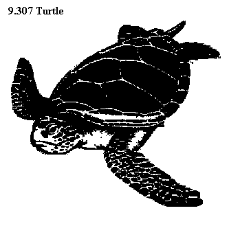 See diagram 9.307: Turtle