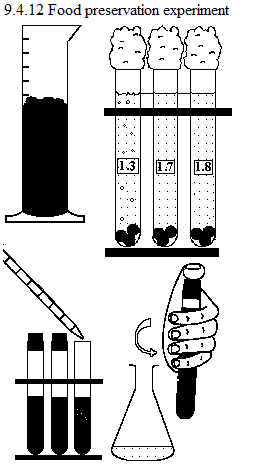 See diagram 9.4.12: Food preservation experiment