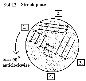 See diagram 4.9.13: Streak plate