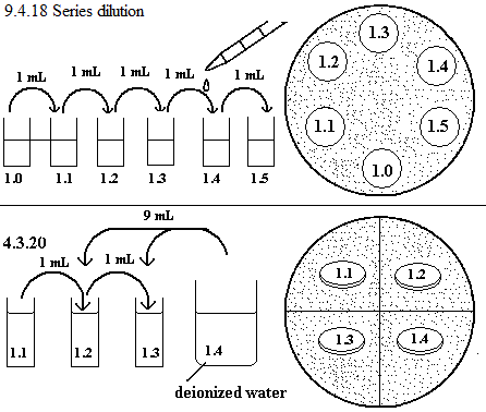 See diagram 9.4.18: Series dilution