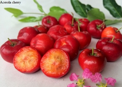 See diagram: Acerola cherry