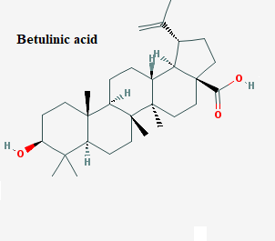 See diagram Betulinic: Betulinic acid