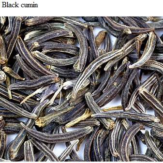 See diagram: Black Cumin