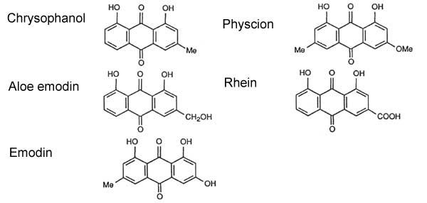 See diagram Chrysophanol: Chrysophanol