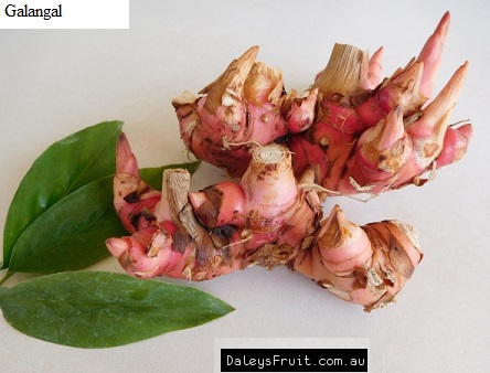 See diagram: Galangal.
