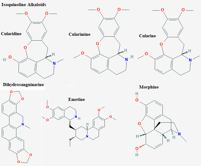 See diagram Isoquin3: Dihydrosanguinarine