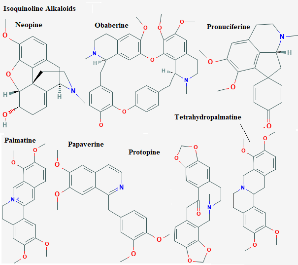See diagram Isoquin6: Reticuline