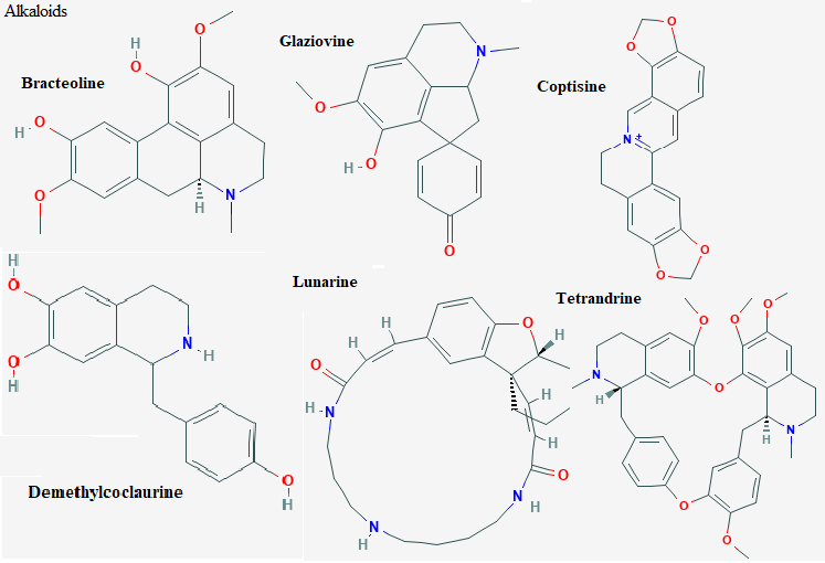 See diagram Isoquin8: Demethylcoclaurine