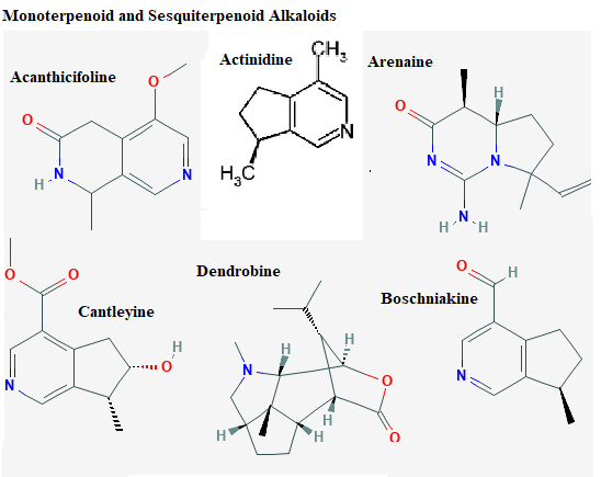 See diagram Monoterp1: Dendrobine