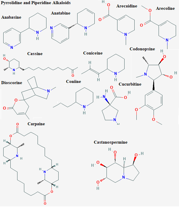 See diagram Pyrrolid1: Dioscorine